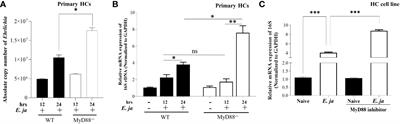 Hepatocyte-specific regulation of autophagy and inflammasome activation via MyD88 during lethal Ehrlichia infection